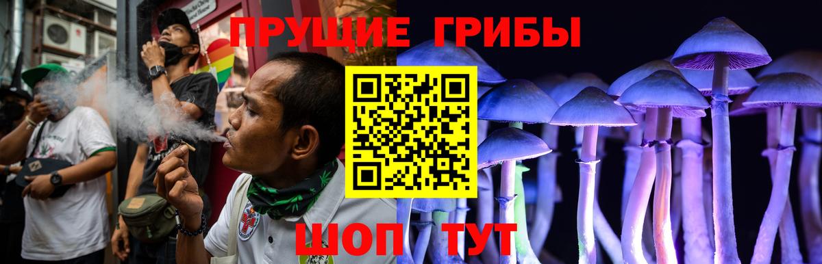 Галлюциногенные грибы MAGIC MUSHROOMS  Вход с VPN  Туймазы 