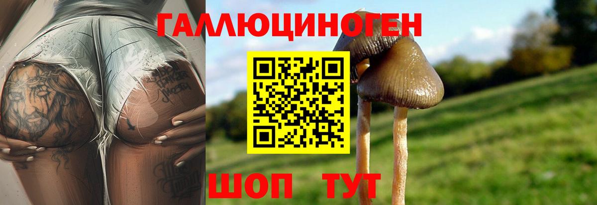 Псилоцибиновые грибы MAGIC MUSHROOMS Туймазы
